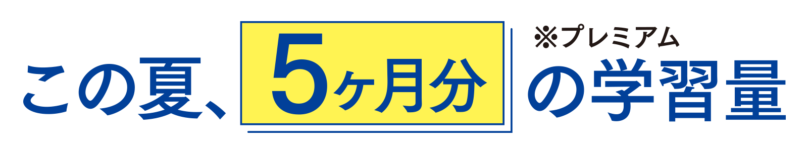 この夏、5ヶ月分の学習量（※プレミアム）